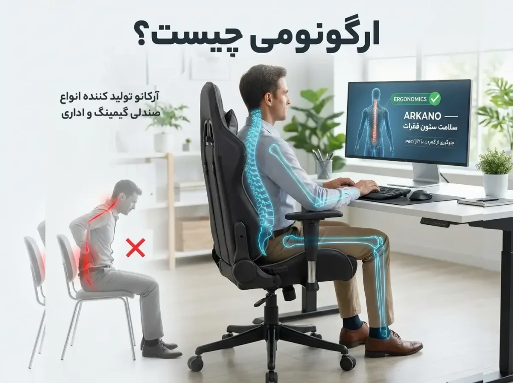 ارگونومی چیست؟ روی صندلی‌های معمولی ننشینید + ۳ راز مهم جلوگیری از کمردرد